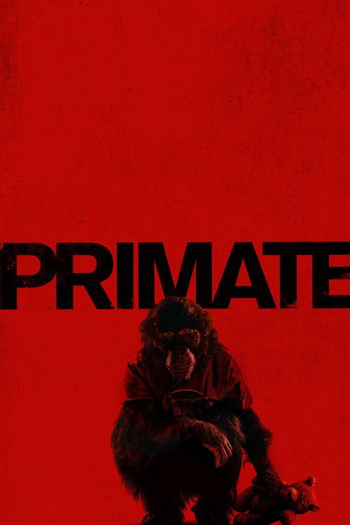 Primate