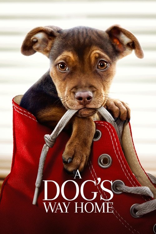 A Dog