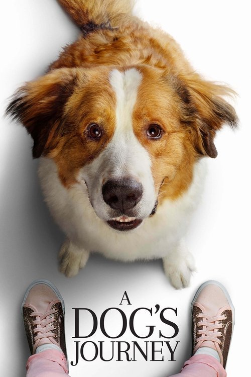 A Dog