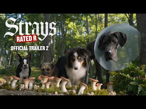 Trailer thumbnail